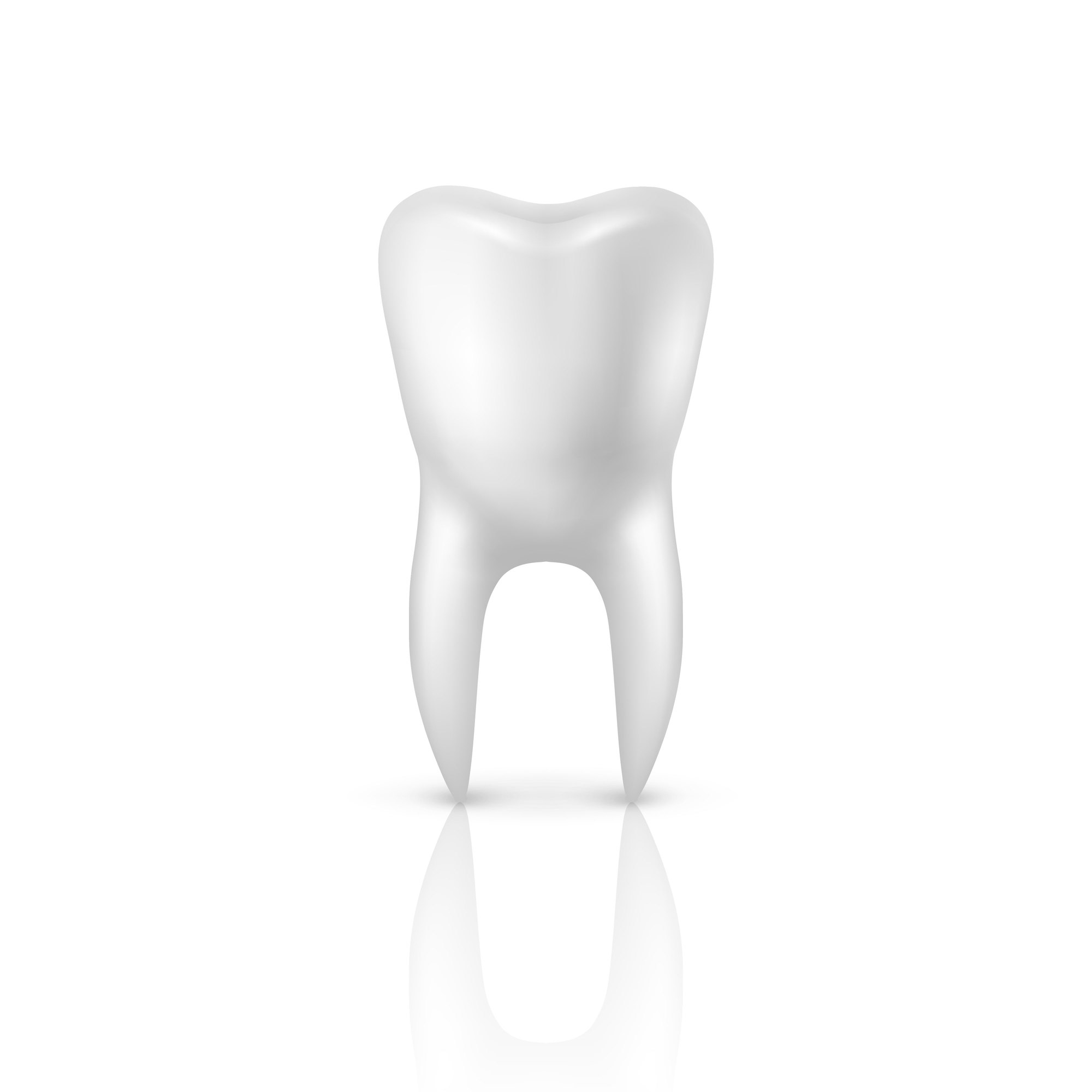 「歯科-訪問診療研究所-」－太田式 Visit dental treatment－  月間会員様　超過分決済用