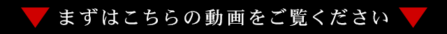 まずはこちらの動画をご確認ください