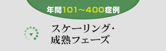 ▼【年間101〜400症例】スケーリング・成熟フェーズ▼