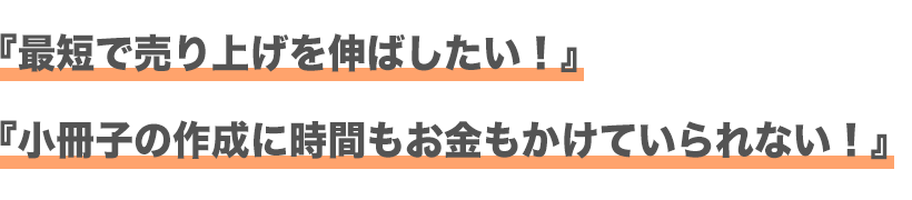 最短で売り上げを伸ばしたい・小冊子の作成に時間もお金もかけていられない！