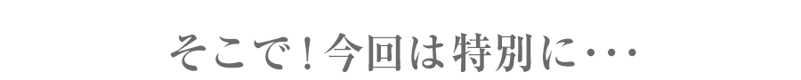 そこで今回は特別に