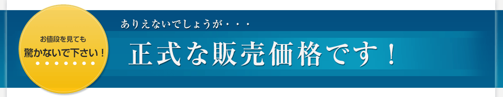 ありえないでしょうが・・・正式な価格です！