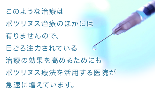 新渡戸康希　プロフィール