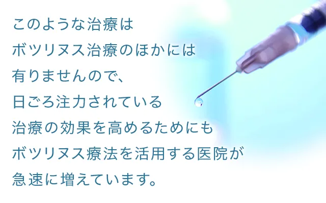 新渡戸康希 プロフィール