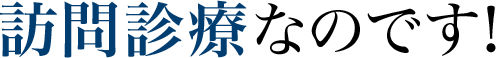 訪問診療なのです！