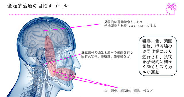 全顎的治療の目指すゴール