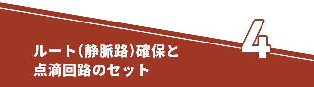 ●ルート（静脈路）確保と点滴回路のセット●