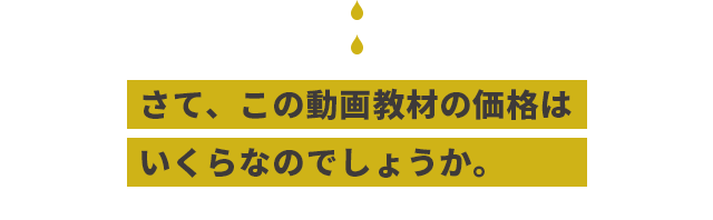 さて、この動画教材の価格はいくらなのでしょうか。