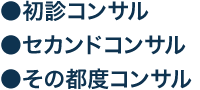 初診コンサル、セカンドコンサル、その都度コンサル