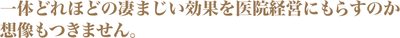 一体どれほどの凄まじい効果を医院経営にもらすのか想像もつきません。