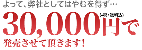 よって、弊社としてはやむを得ず…３００００円！！で発売させて頂きます！