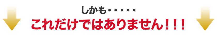 しかも・・・・・これだけではありません！！！