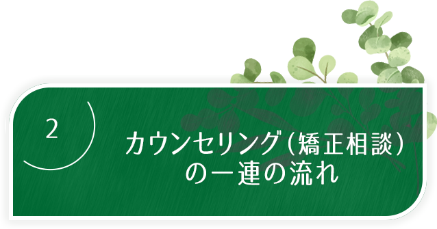 ２、カウンセリング（矯正相談）の一連の流れ