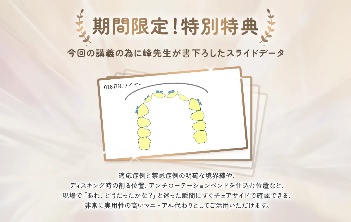 【期間限定！特別特典】今回の講義の為に峰先生が書き下ろしたスライドデータ
