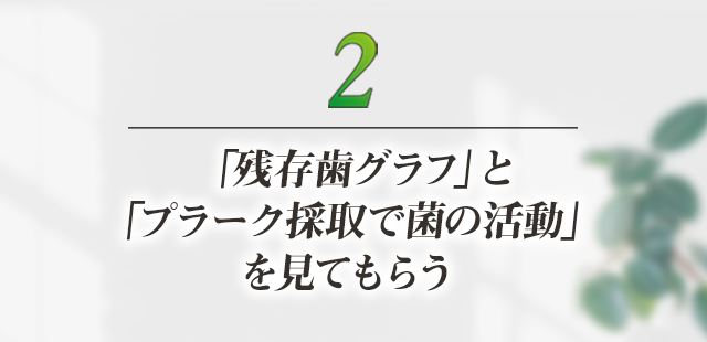 2、「残存歯グラフ」と「プラーク採取で菌の活動」を見てもらう