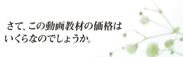 さて、この動画教材の価格はいくらなのでしょうか。