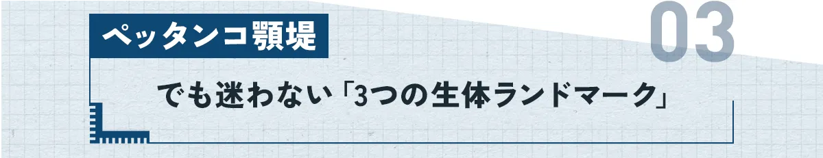 ③：ペッタンコ顎堤でも迷わない「3つの生体ランドマーク」