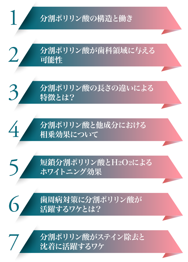 分割ポリリン酸の構造と働きについて