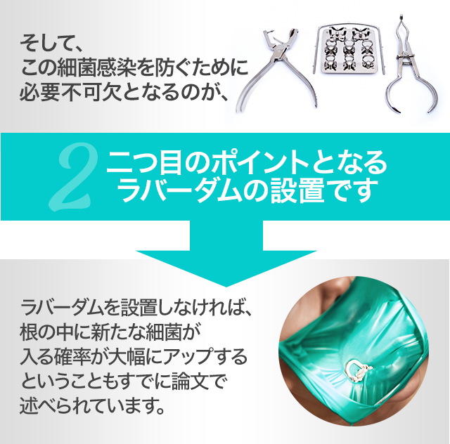 そして、この細菌感染を防ぐために必要不可欠となるのが、二つ目ポイントとなる、ラバーダムの設置です。ラバーダムを設置しなければ、根の中に新たな細菌が入る確率が大幅にアップするということもすでに論文で述べられています。