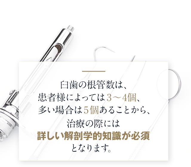 治療の際には詳しい解剖学的知識が必須となります。