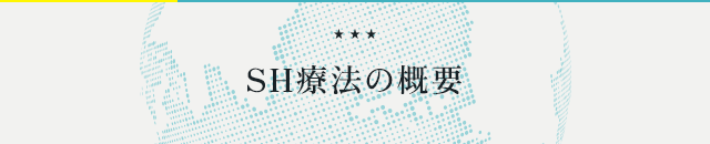 ●『SH療法の概要』●