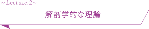 ●解剖学的な理論●