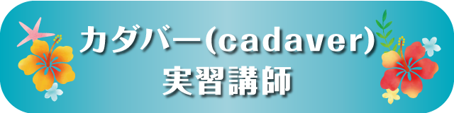 講師