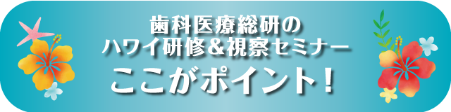 ここがポイント！